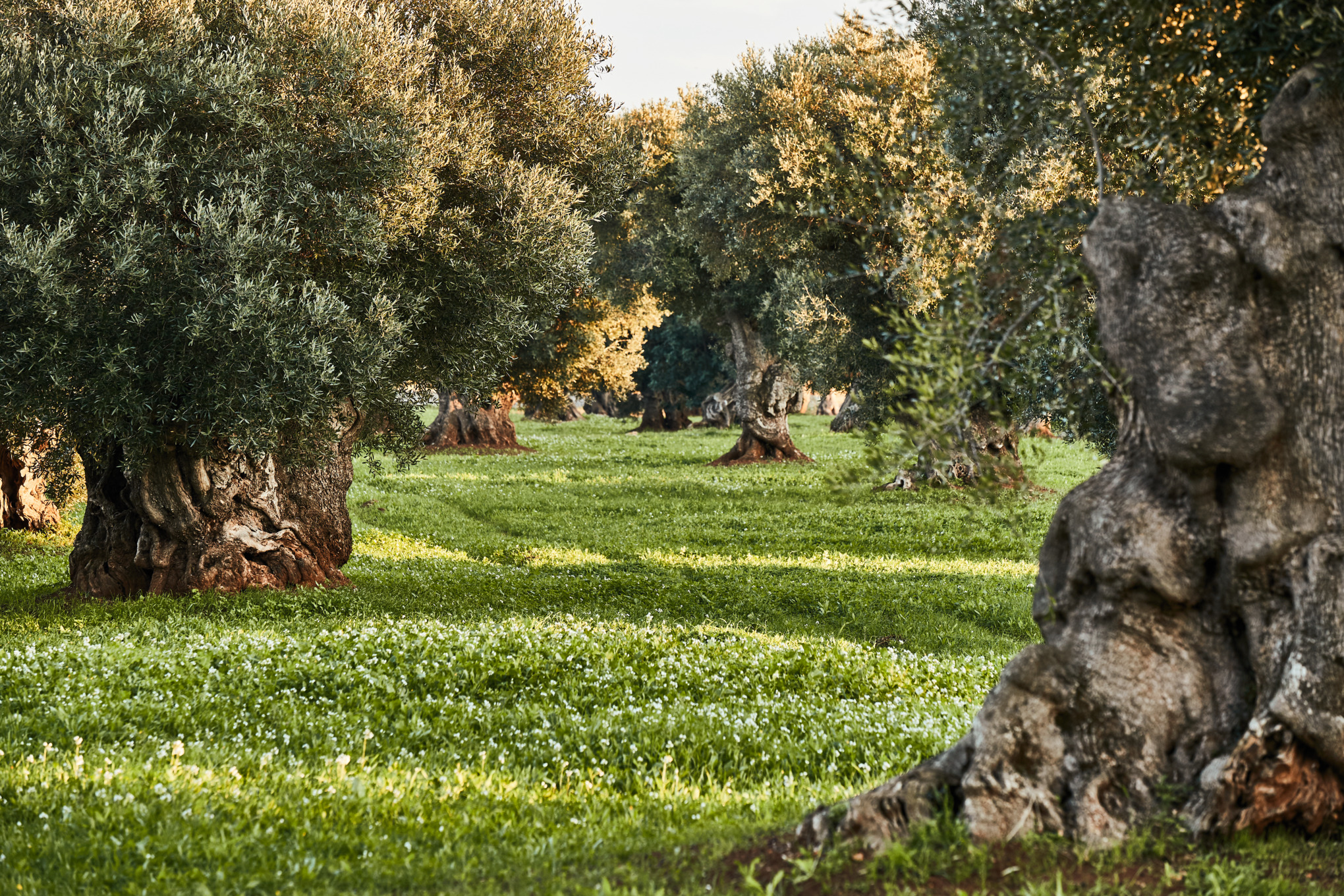 Fortrolighedspolitik Leverandører