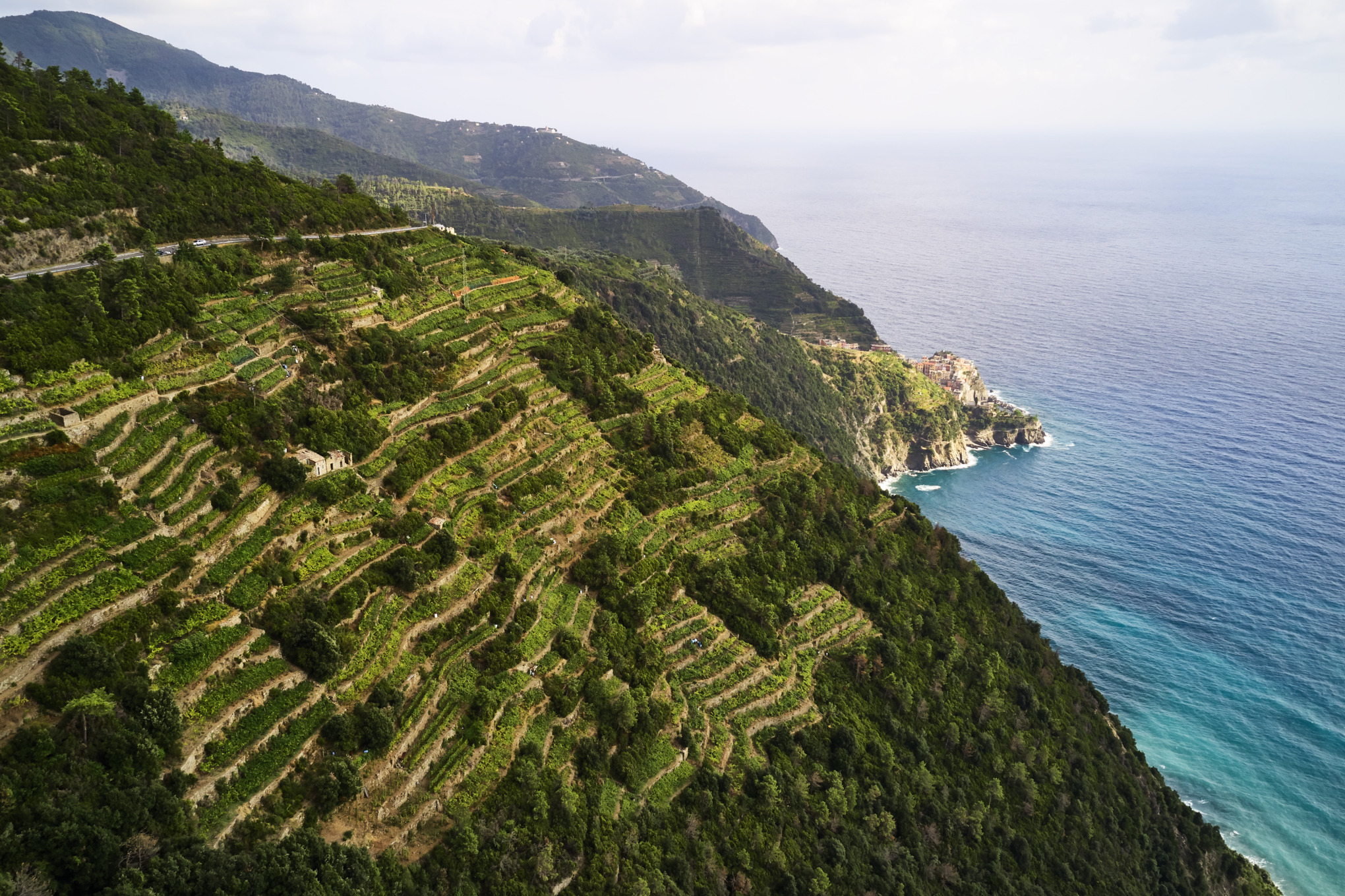 ET VERDENSOMSPÆNDENDE NETVÆRK