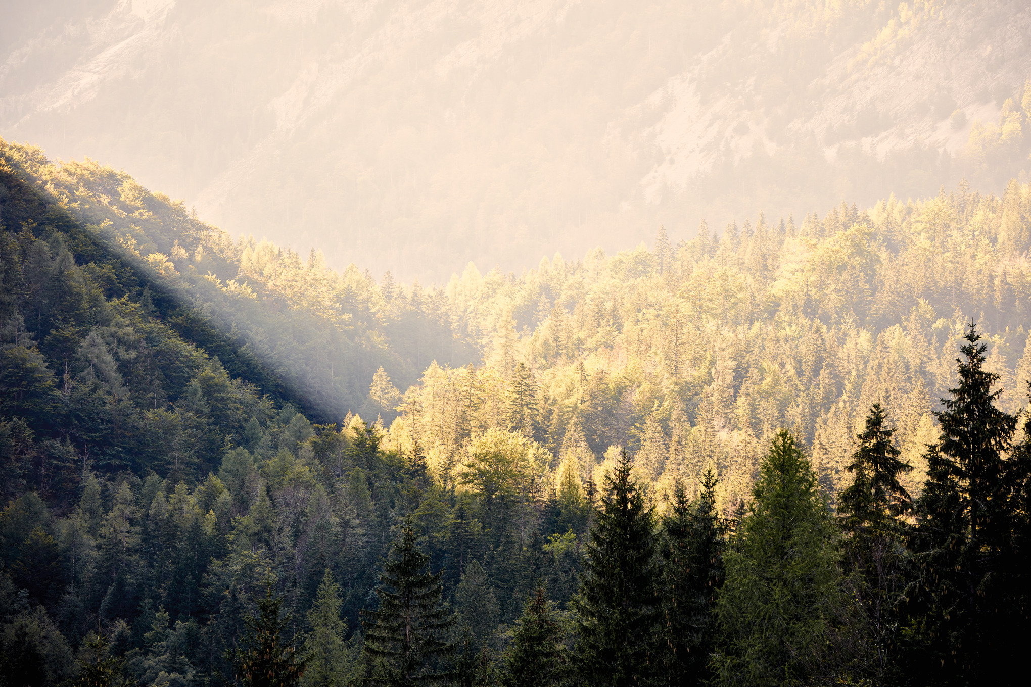 STIHLs salgsselskaber i hele verden