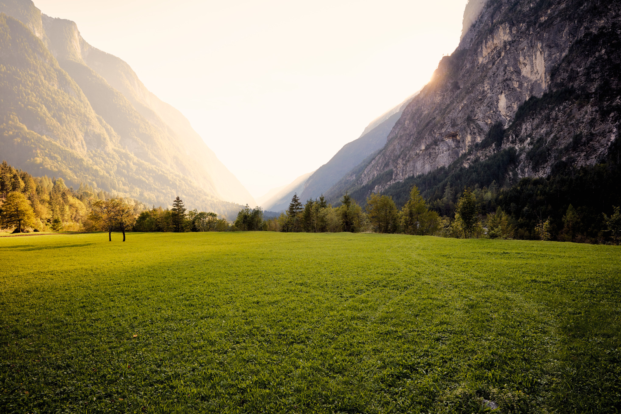 Kontakter til pressen