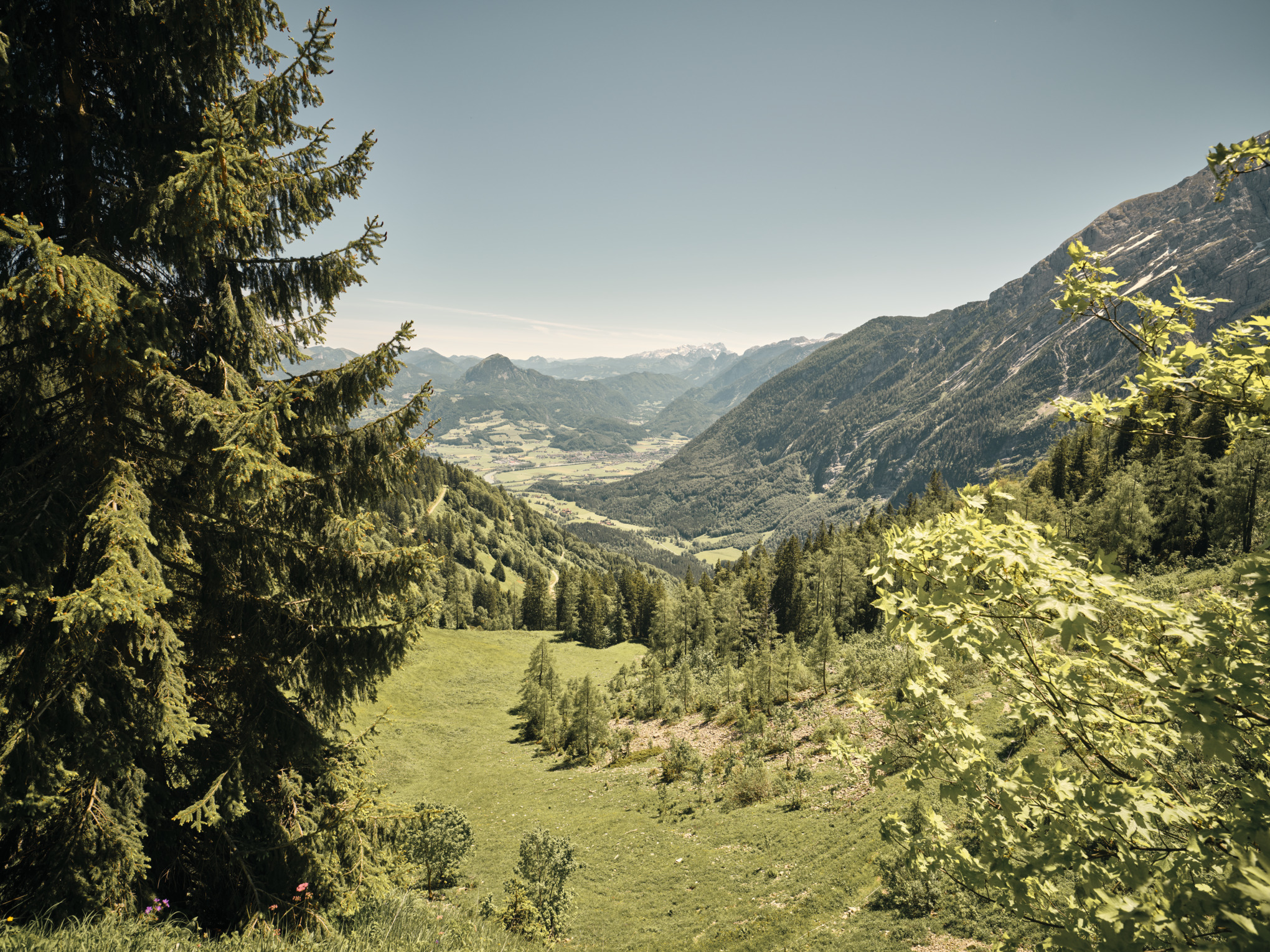 Rapport om bæredygtighed 2021