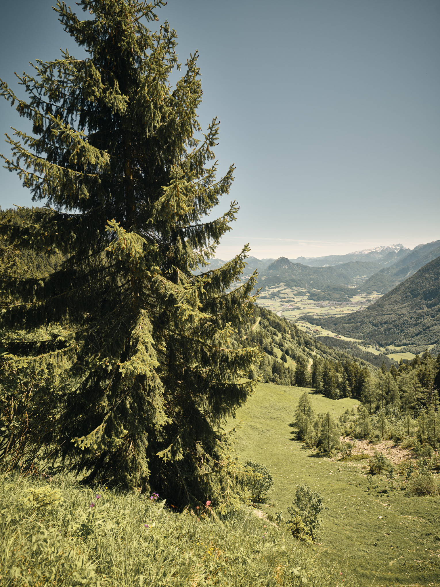 Strategi for bæredygtighed