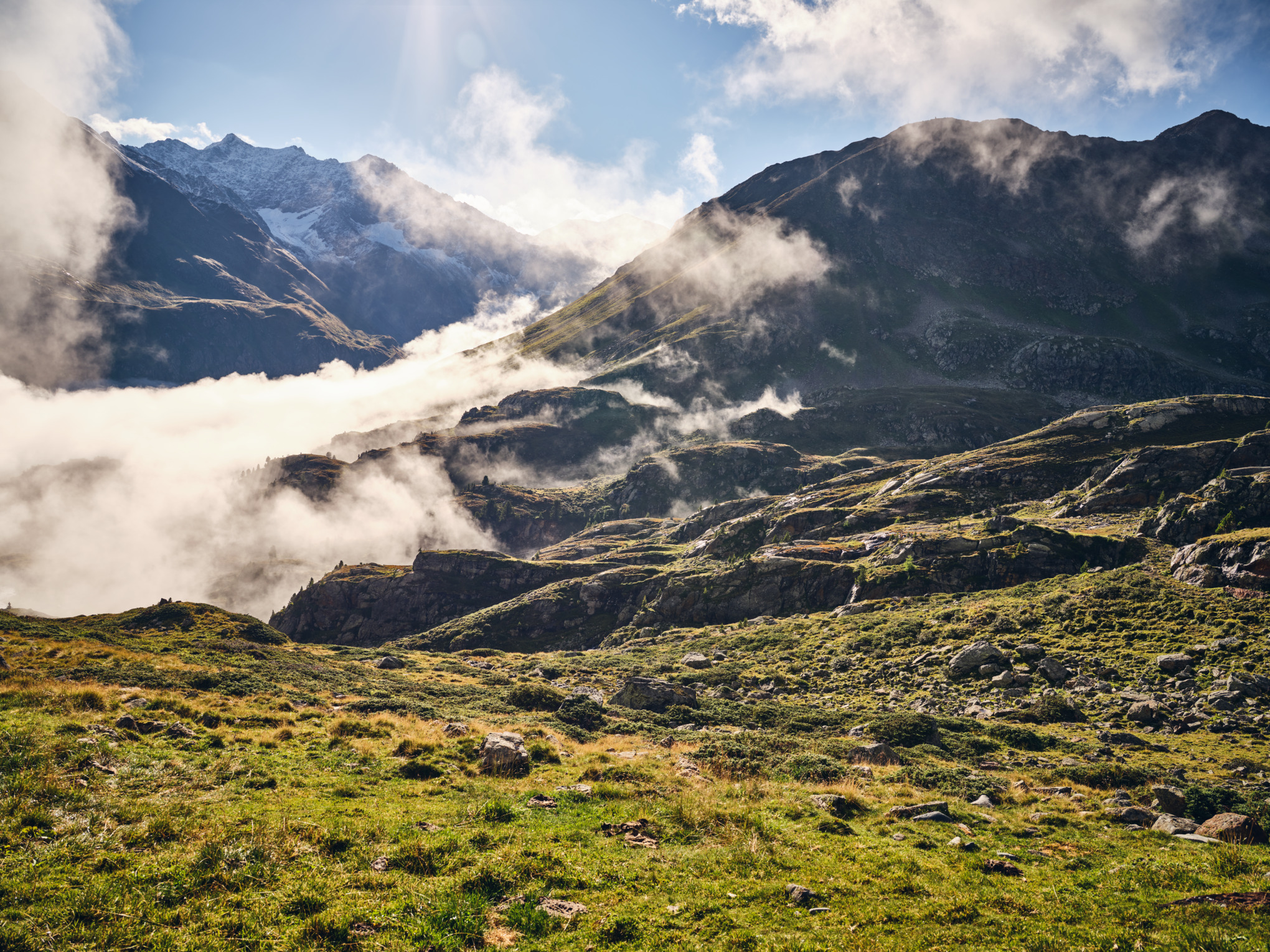 International produktion