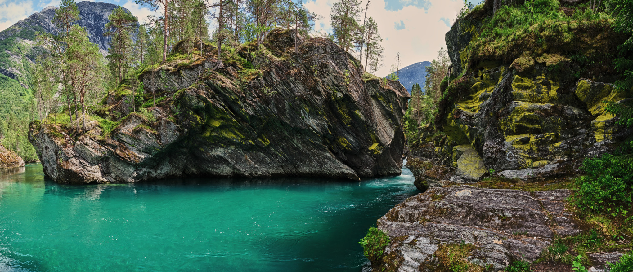 STIHL salgsselskaber Australien/Stillehavet