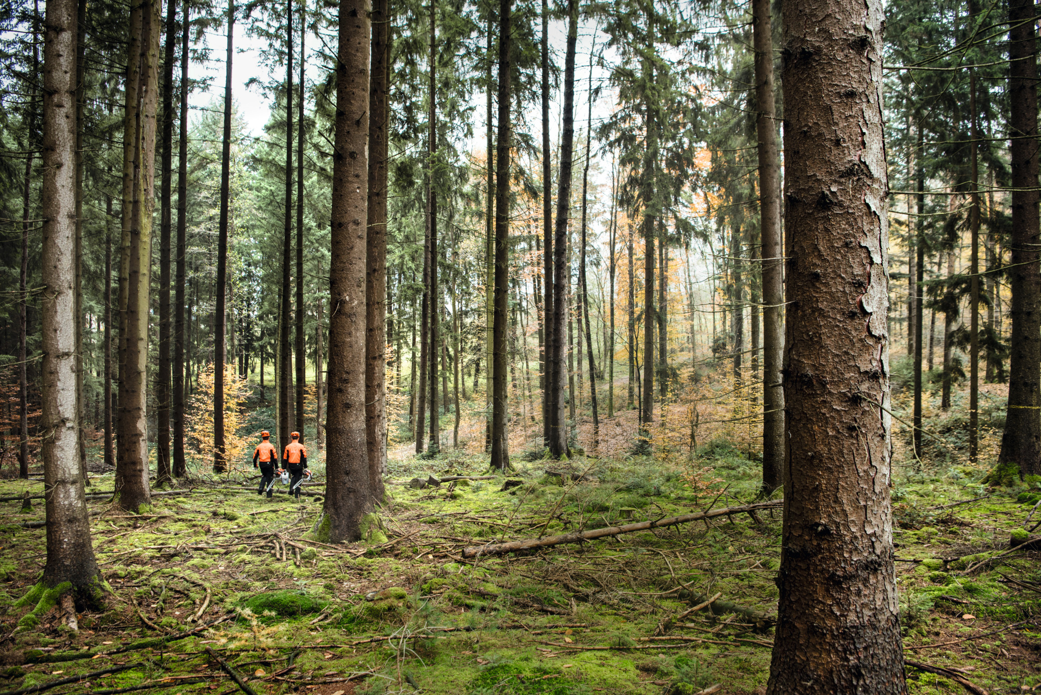 STIHL som virksomhed